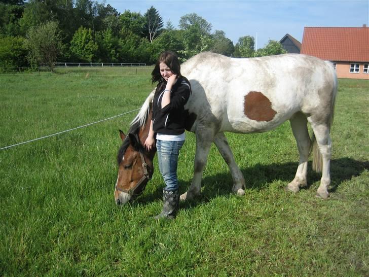 Halstedhus efterskole - Kalle og Toffie billede 5