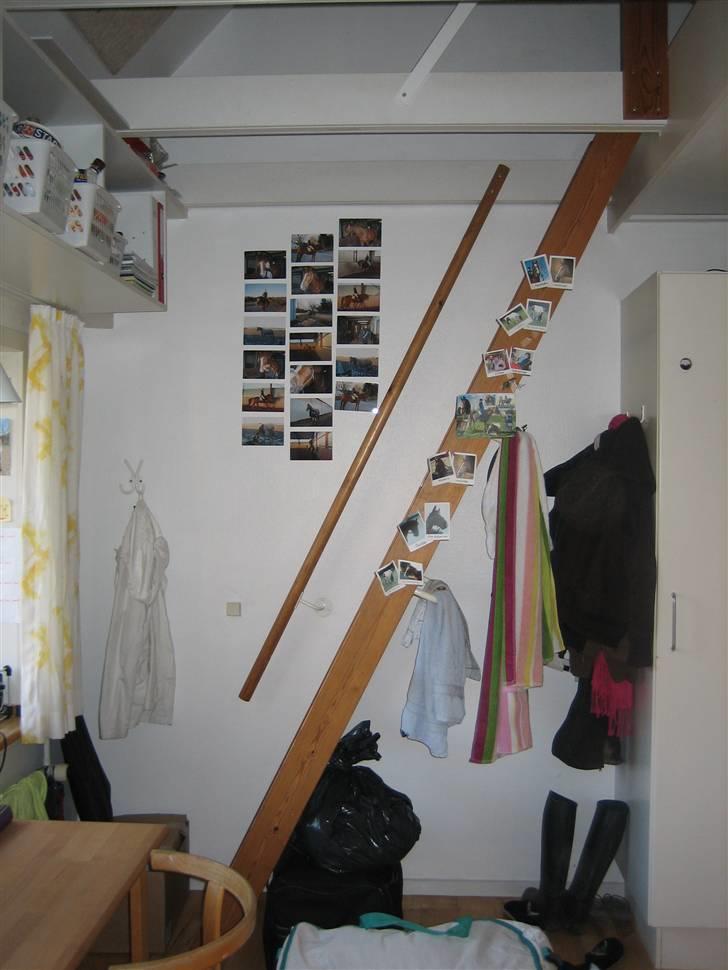 Halstedhus efterskole - Min trappe billede 8