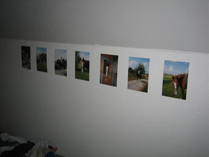 Halstedhus efterskole - Mine billeder billede 13