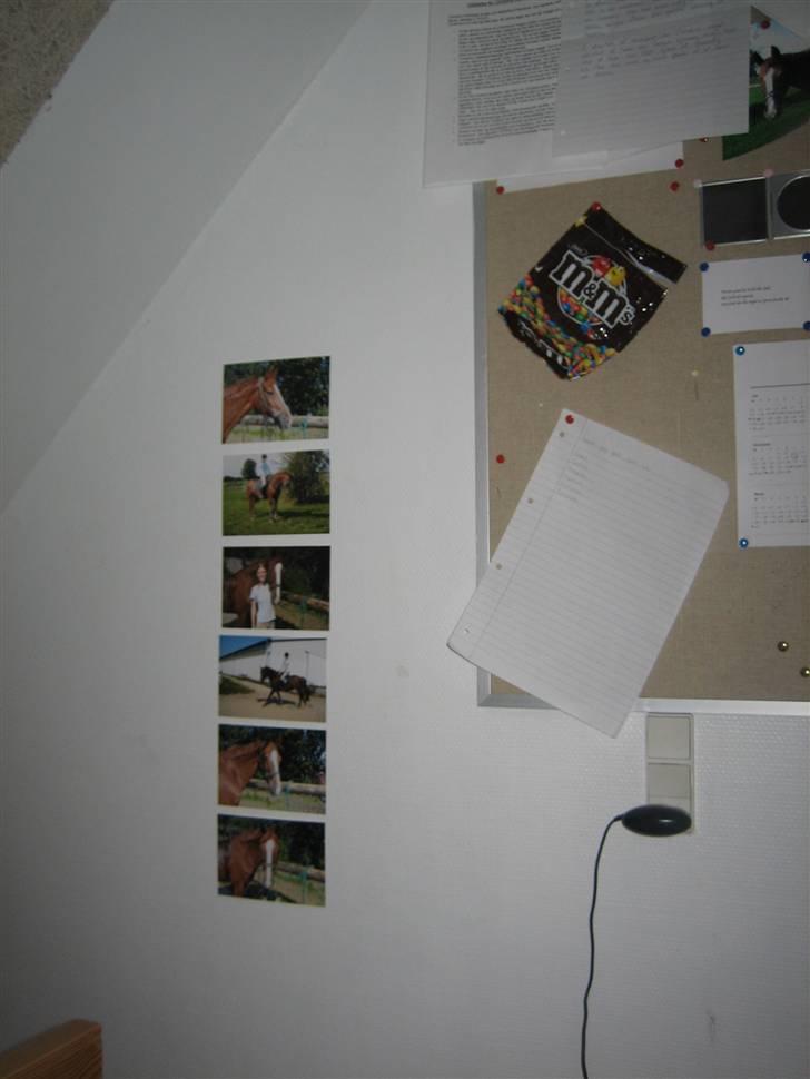 Halstedhus efterskole - Mine billeder billede 16