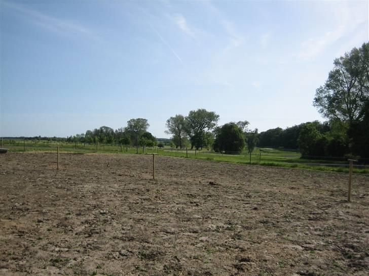 Halstedhus efterskole - Fra folden billede 17