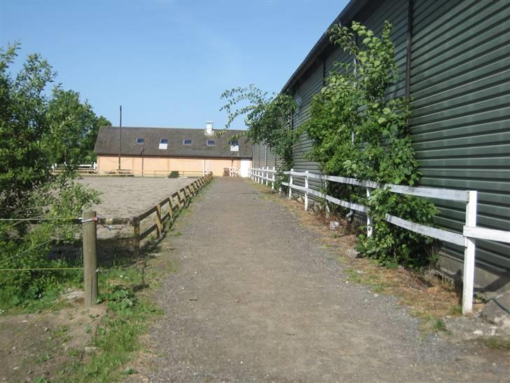 Halstedhus efterskole - Fra folden og op mod stalden billede 18