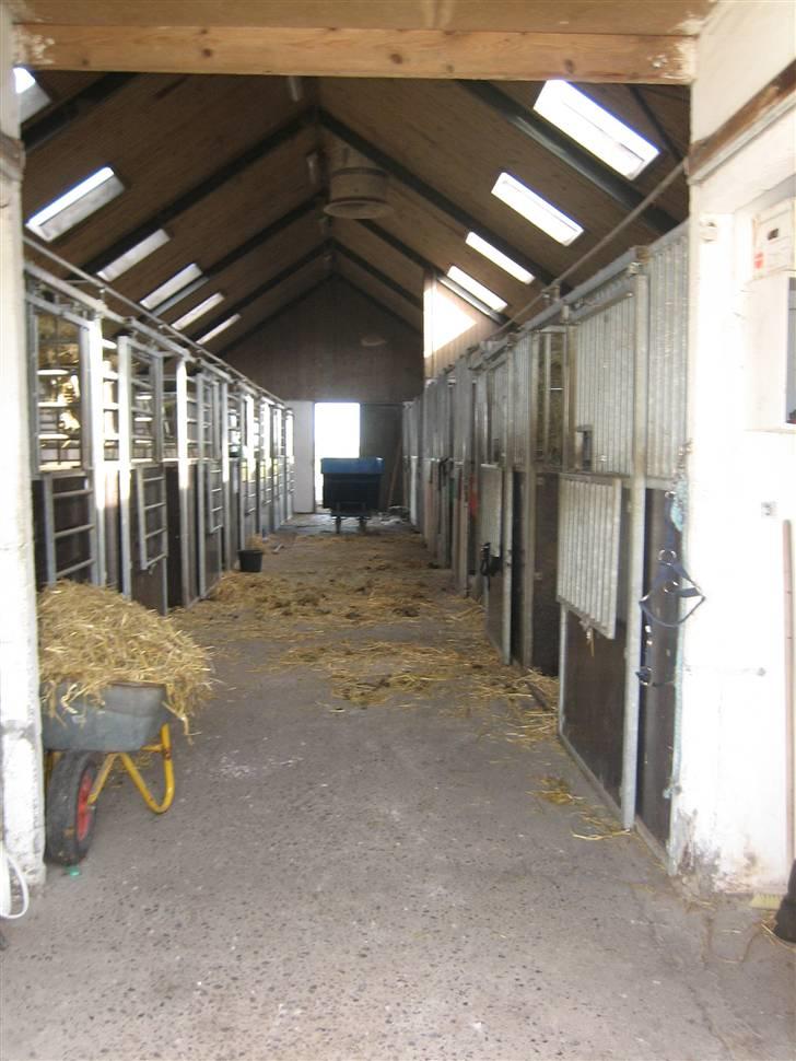 Halstedhus efterskole - Stalden billede 20