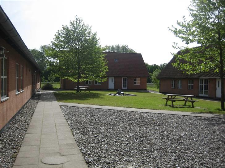 Halstedhus efterskole - Husende billede 21