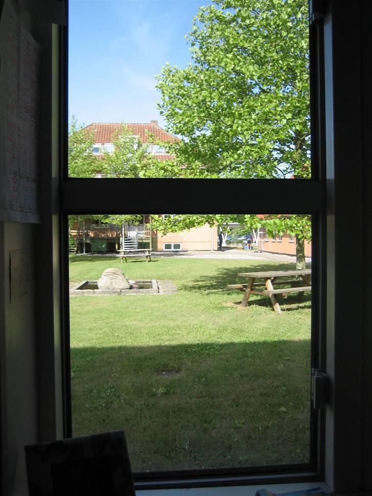 Halstedhus efterskole - Fra mit vindue billede 22