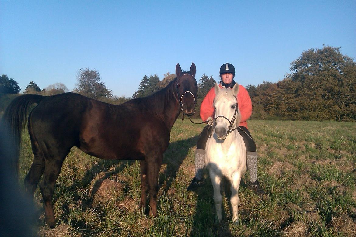 Mine Krikker billede 4