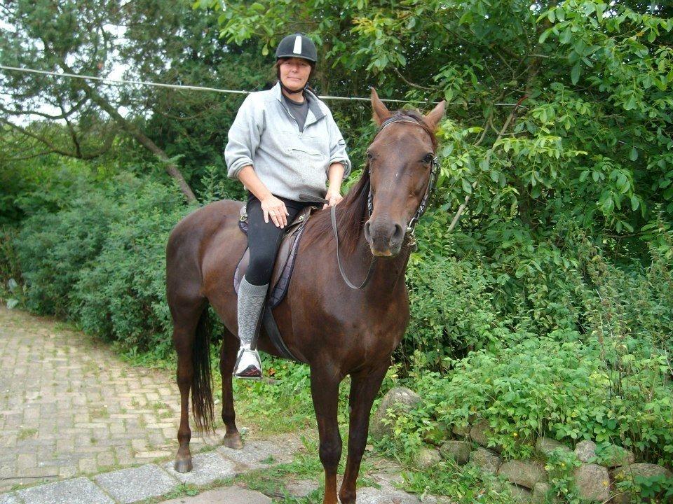 Mine Krikker billede 5