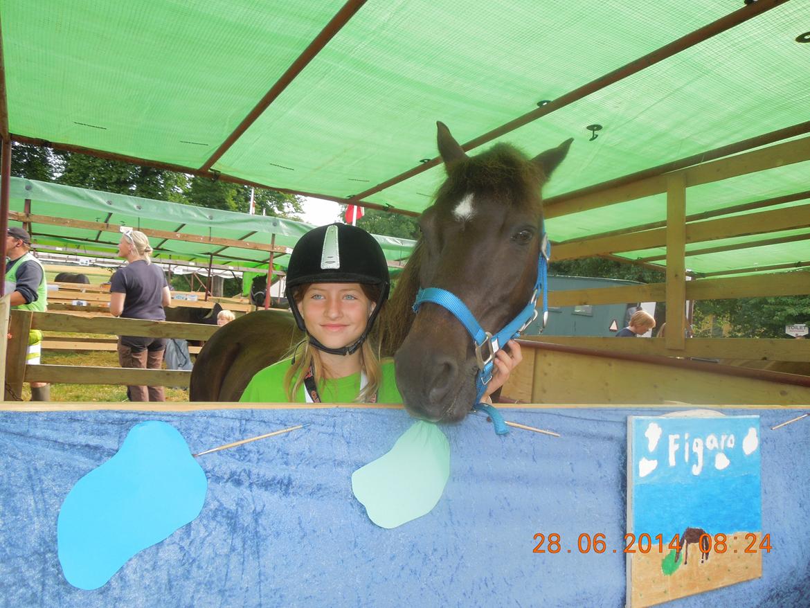 Bregentved dyrskue 2014 billede 1