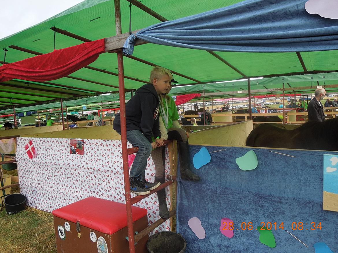 Bregentved dyrskue 2014 billede 3