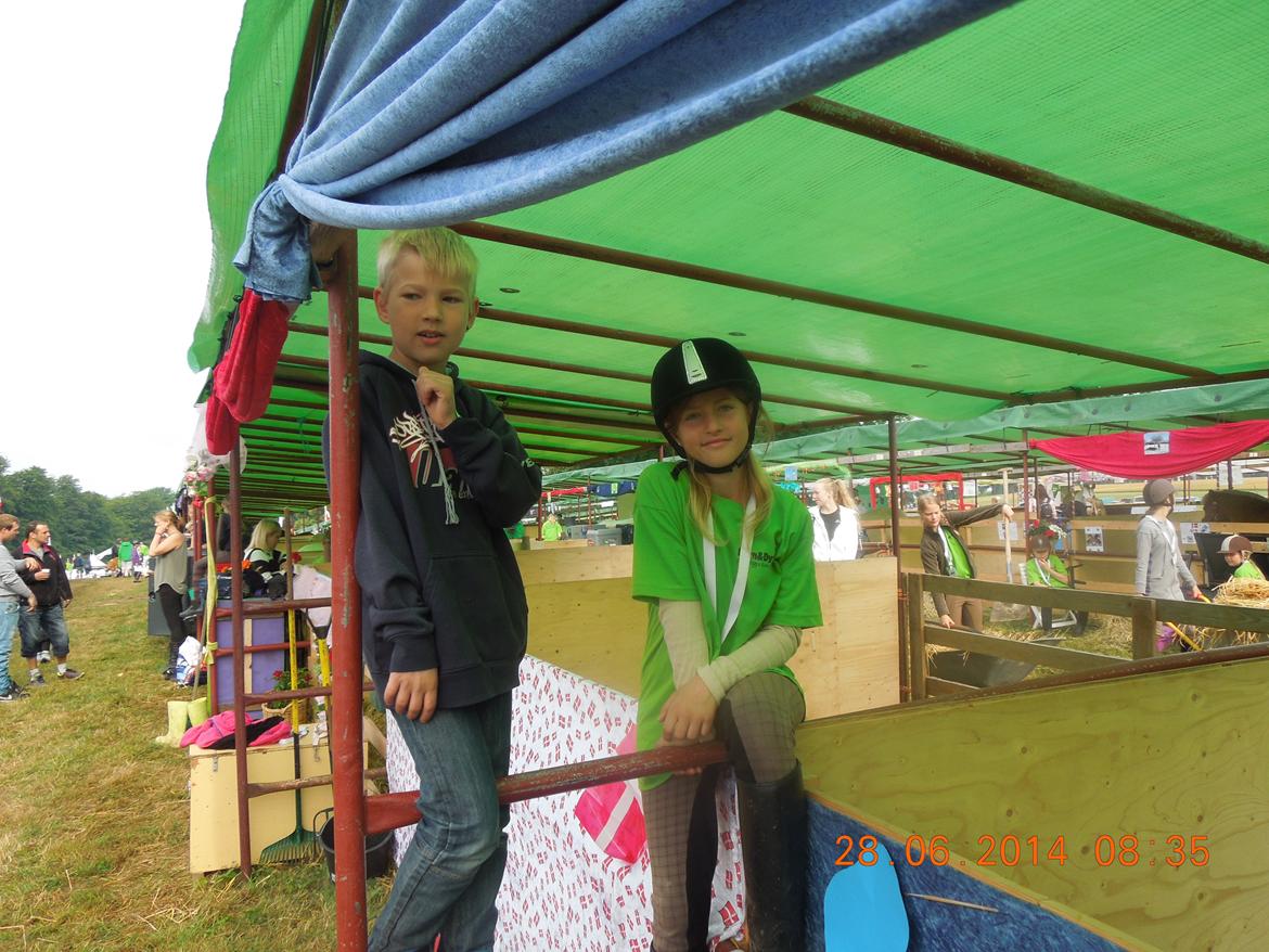 Bregentved dyrskue 2014 billede 4