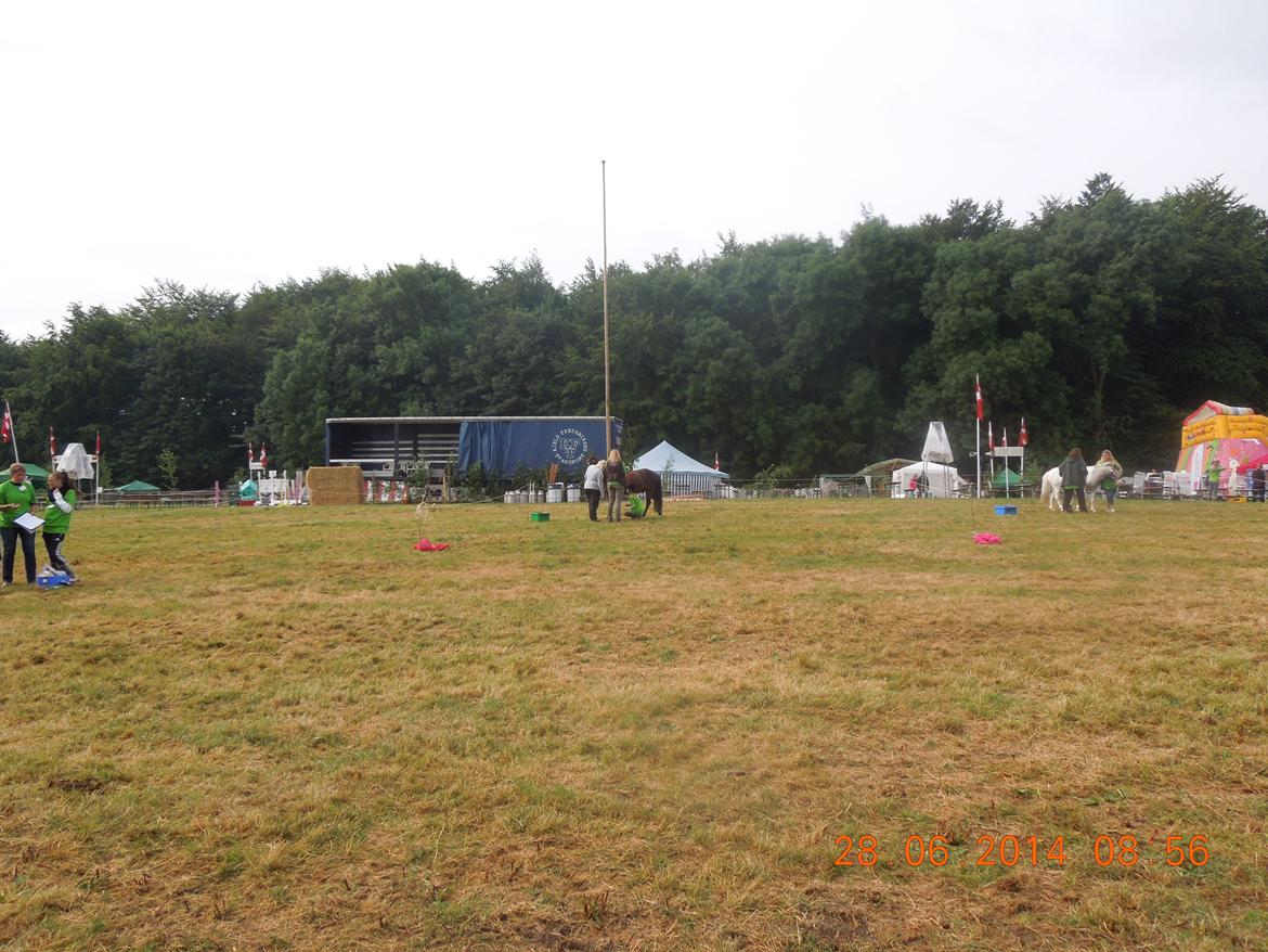 Bregentved dyrskue 2014 billede 7