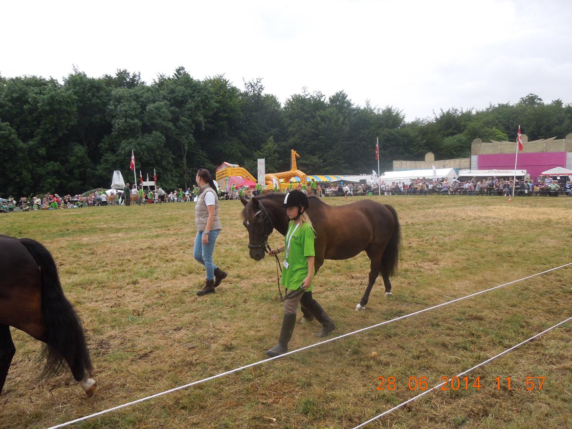 Bregentved dyrskue 2014 billede 8