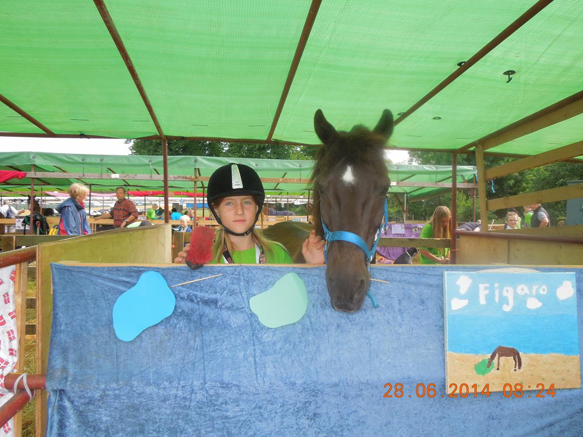 Bregentved dyrskue 2014 billede 2