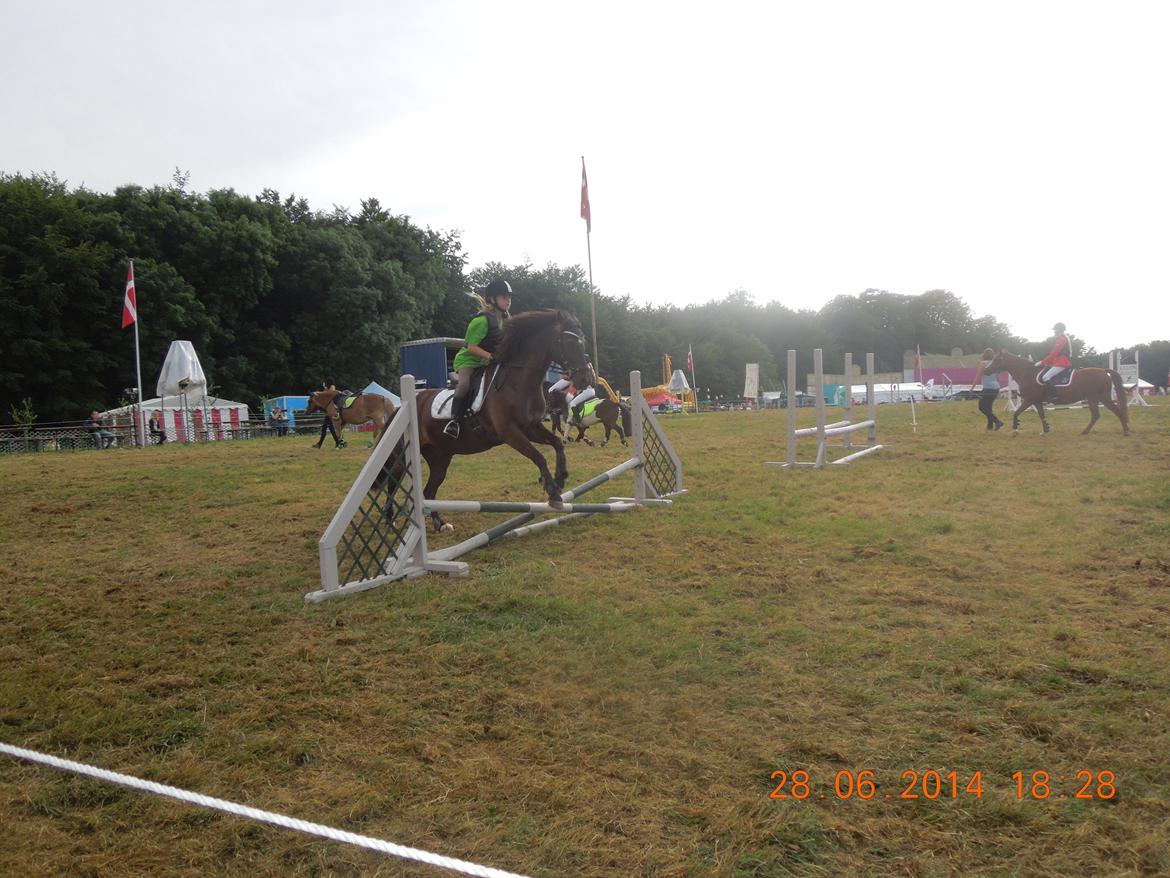 Bregentved dyrskue 2014 billede 10