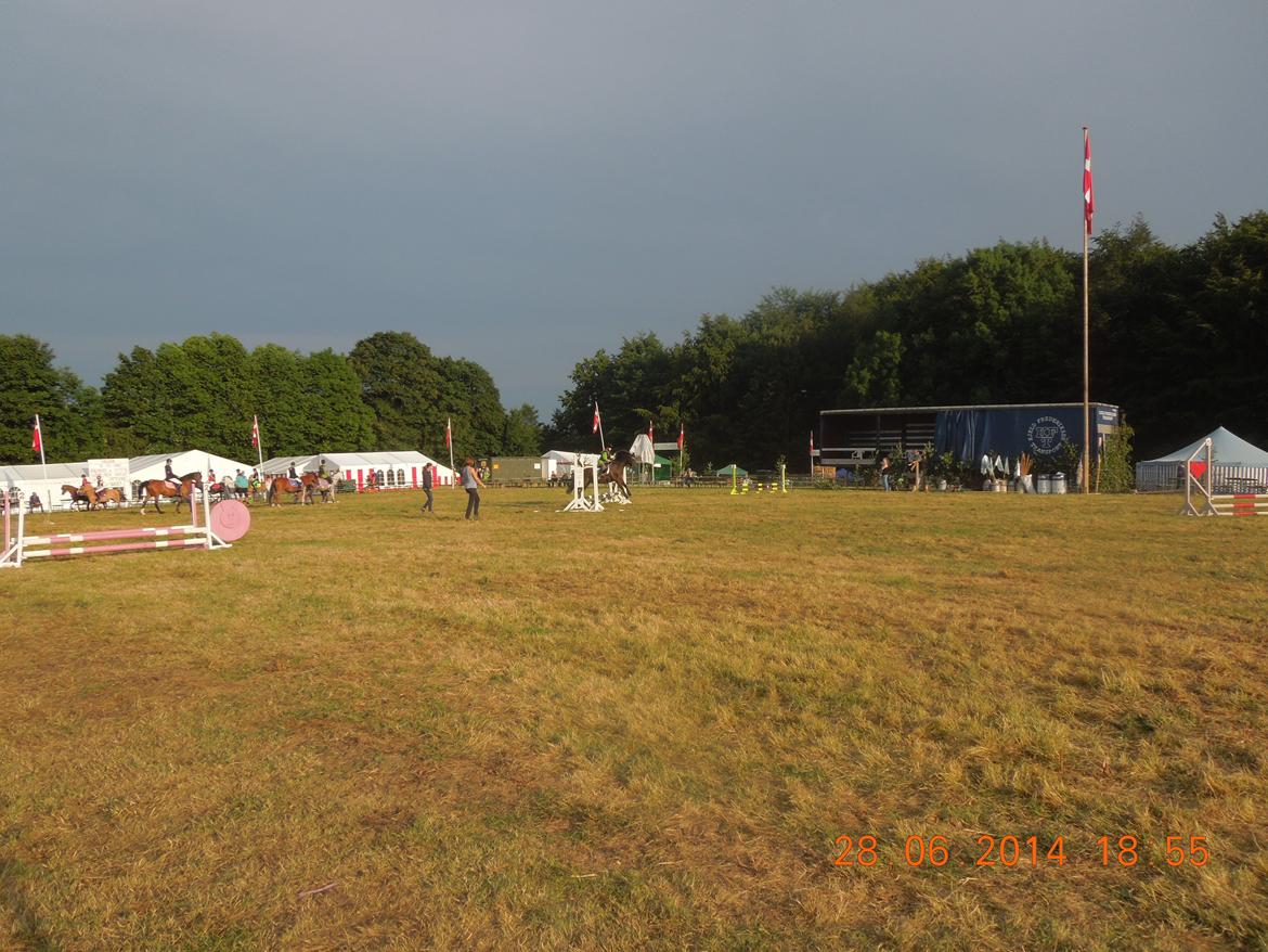 Bregentved dyrskue 2014 billede 11