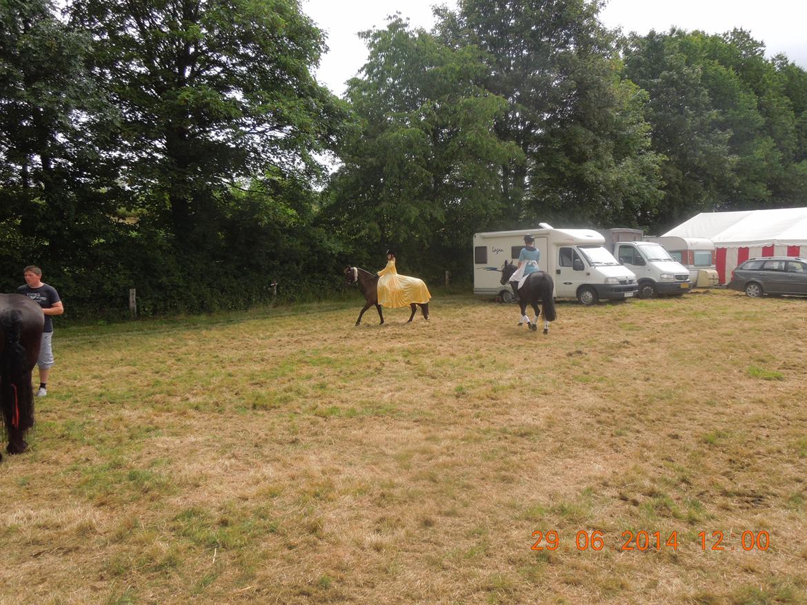 Bregentved dyrskue 2014 billede 14