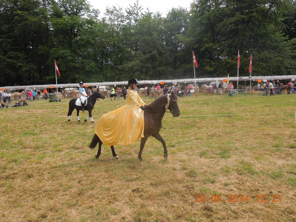 Bregentved dyrskue 2014 billede 15