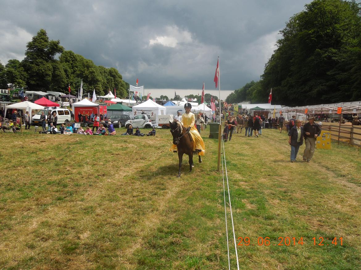 Bregentved dyrskue 2014 billede 16