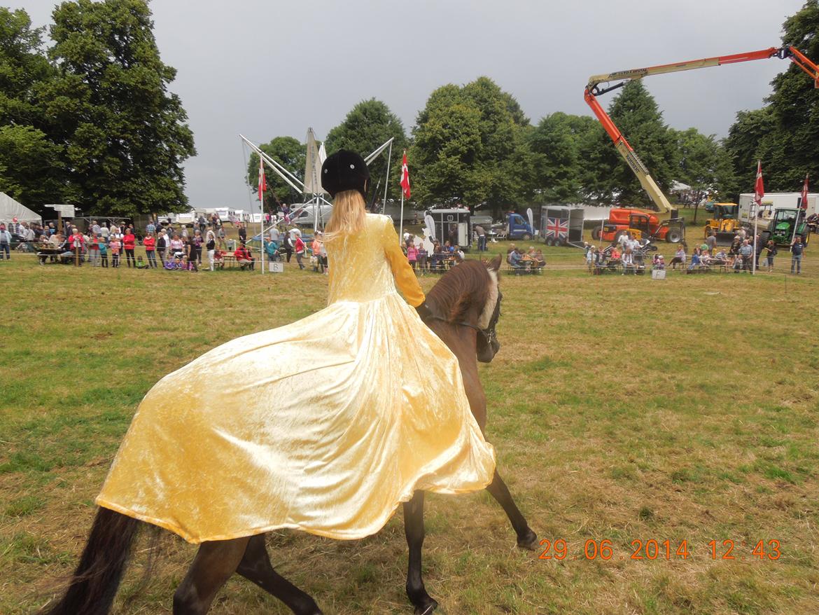 Bregentved dyrskue 2014 billede 17