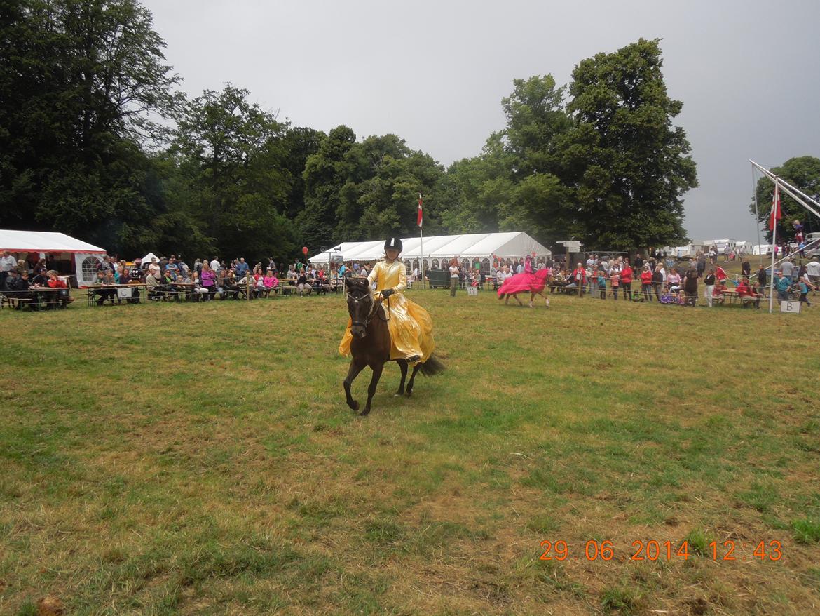 Bregentved dyrskue 2014 billede 18