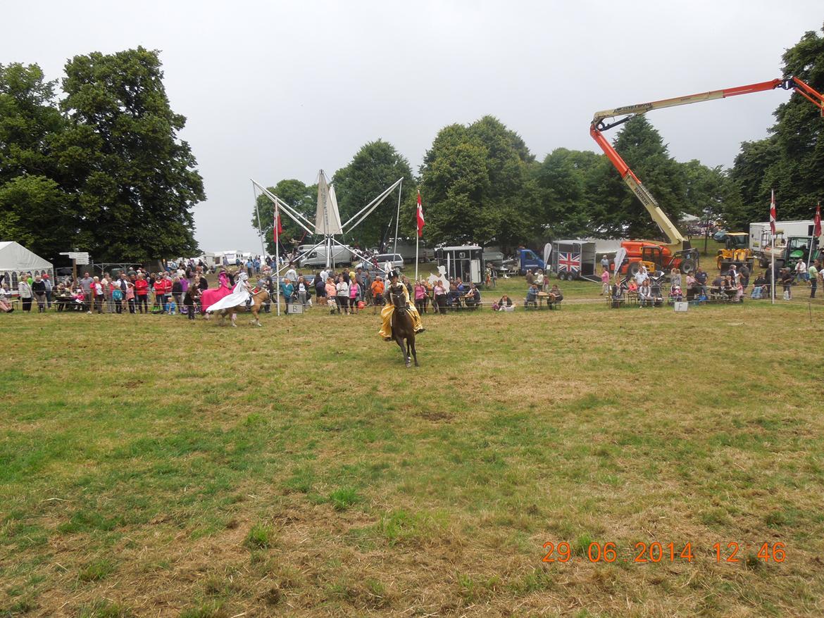 Bregentved dyrskue 2014 billede 19