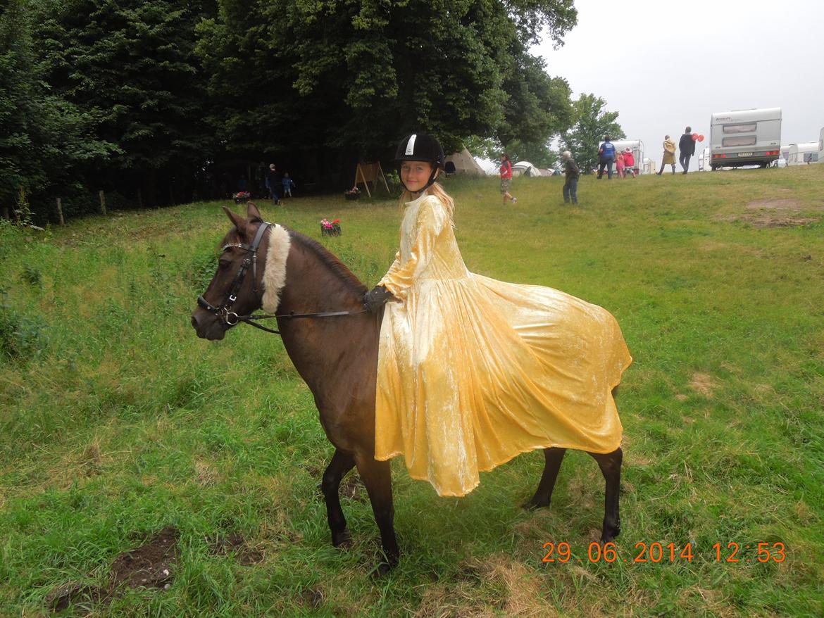 Bregentved dyrskue 2014 billede 21