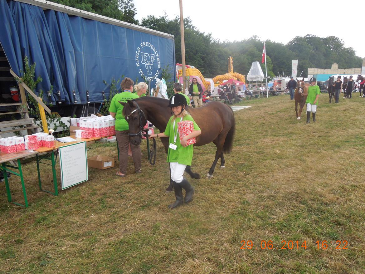 Bregentved dyrskue 2014 billede 22