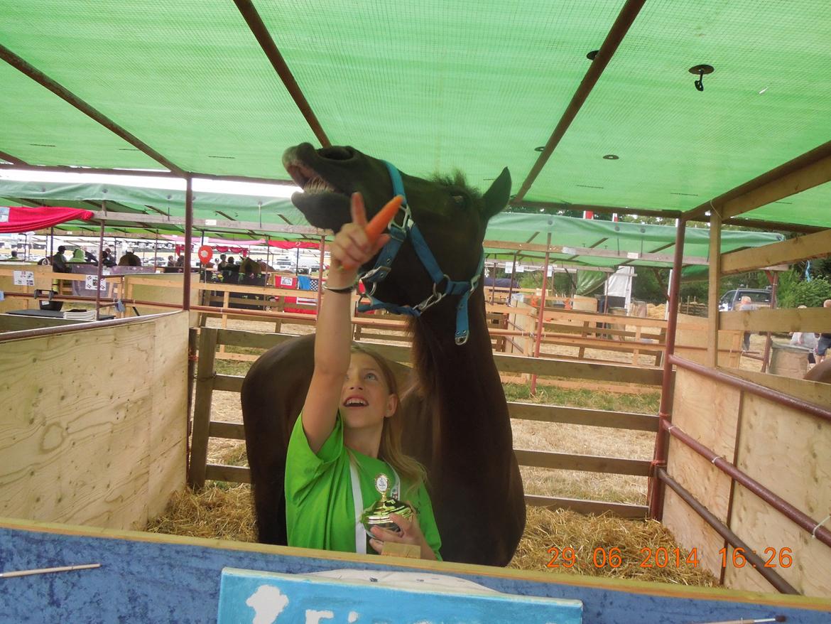 Bregentved dyrskue 2014 billede 24