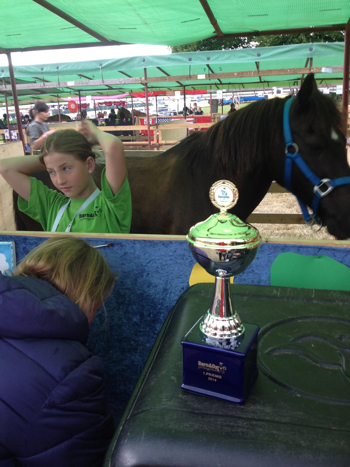 Bregentved dyrskue 2014 billede 26