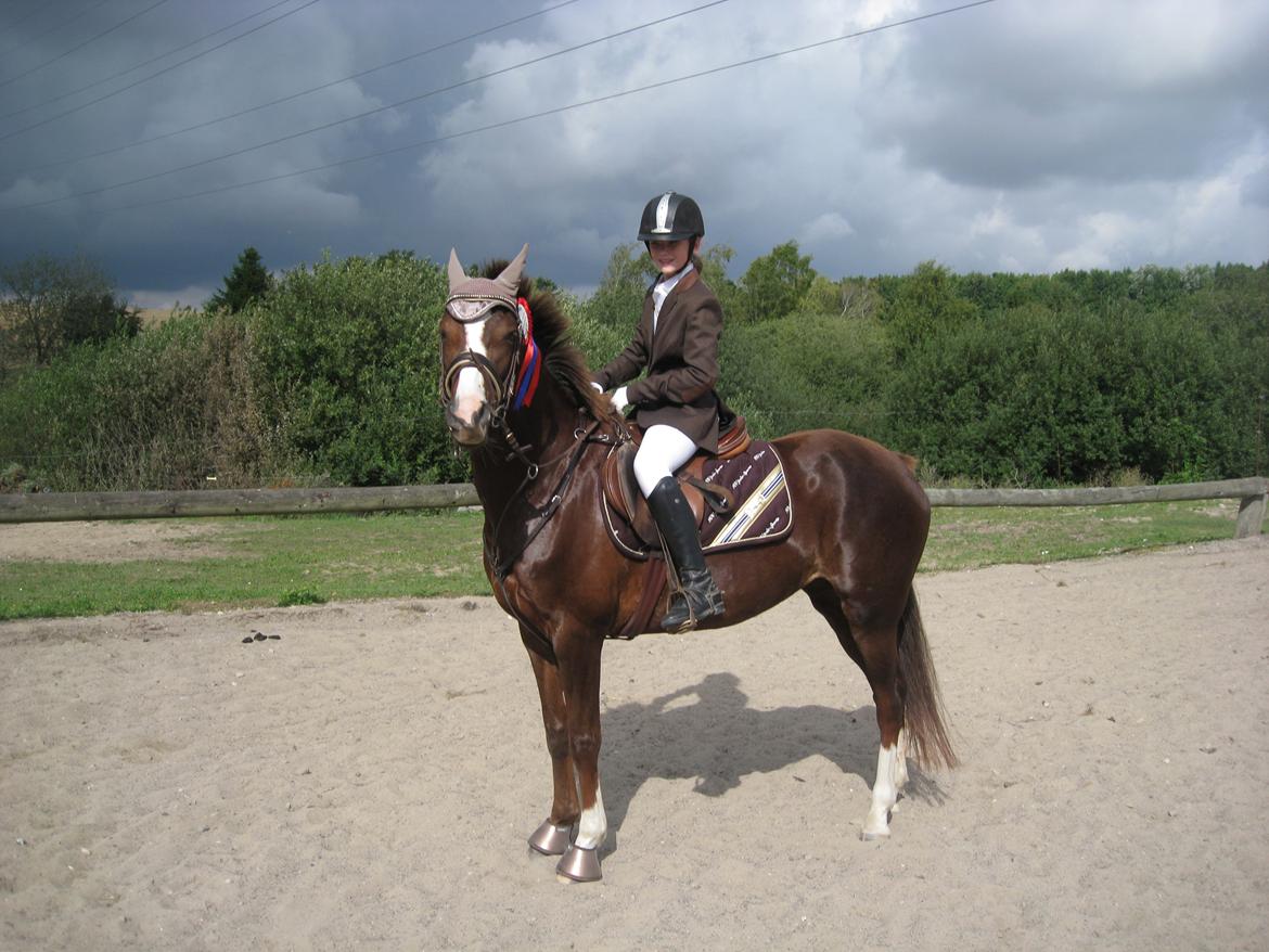 Forskellige billeder - Klubmestre i spring 2013! billede 20