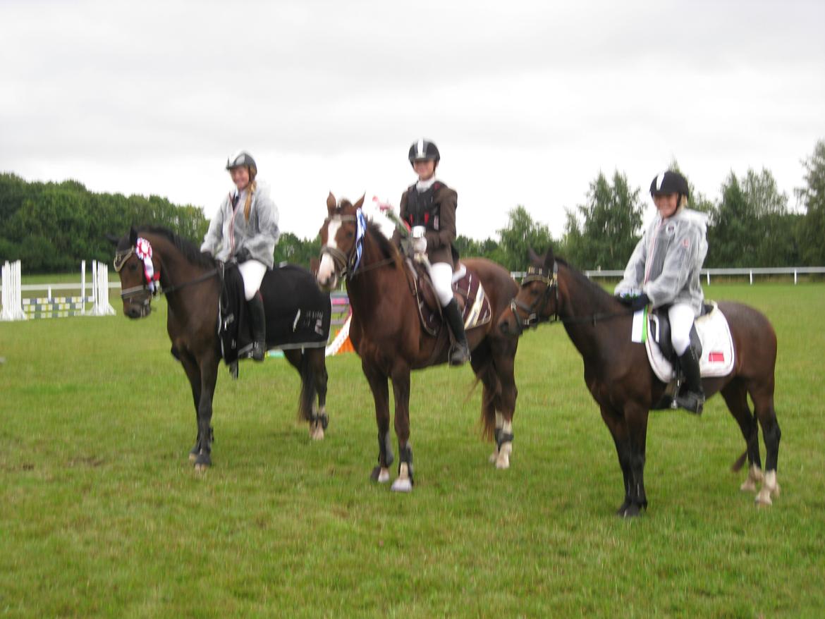 Forskellige billeder billede 3