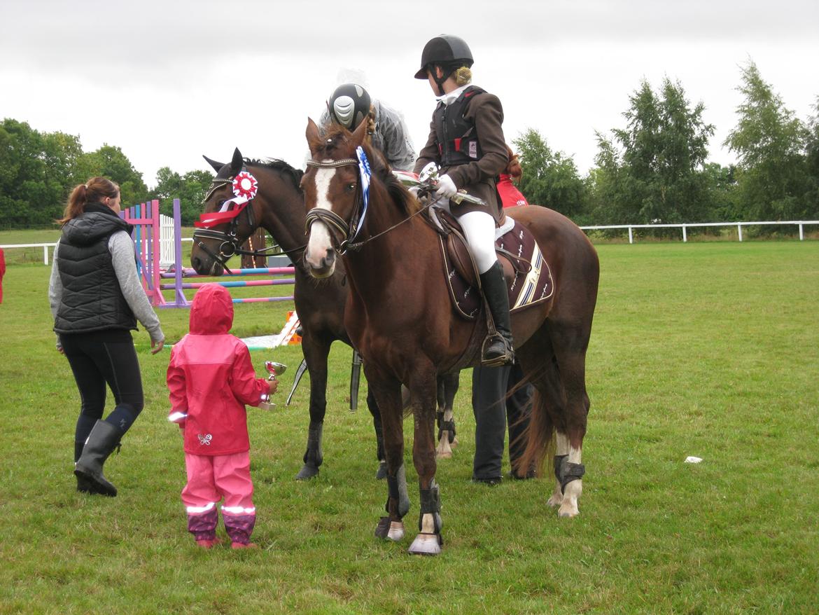 Forskellige billeder - Præmieoverrækkelse billede 4