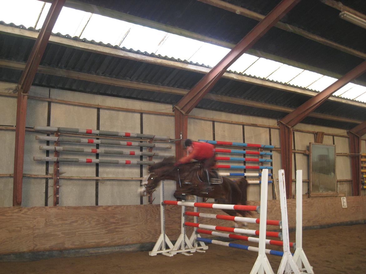 Forskellige billeder - Billede fra springning da der var højdespring. Vi nåede 125 cm. Her springer vi 120 cm. Undskyld den dårlige kvalitet.;-) billede 7