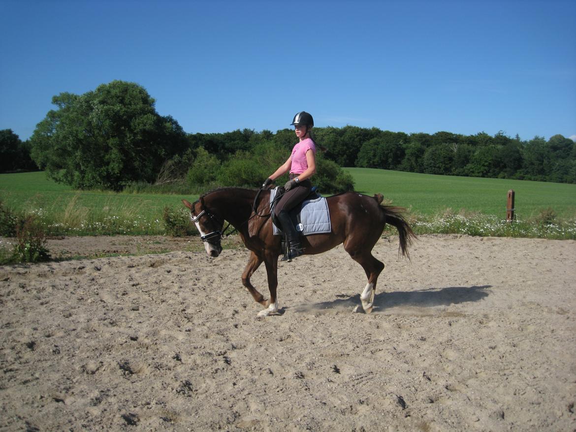 Forskellige billeder - Sommer 2014. billede 13