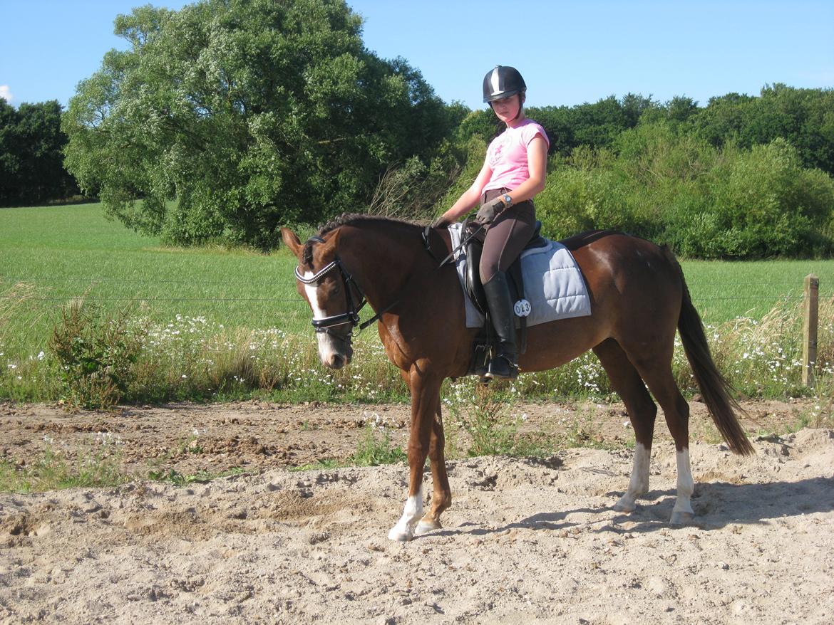 Forskellige billeder billede 14