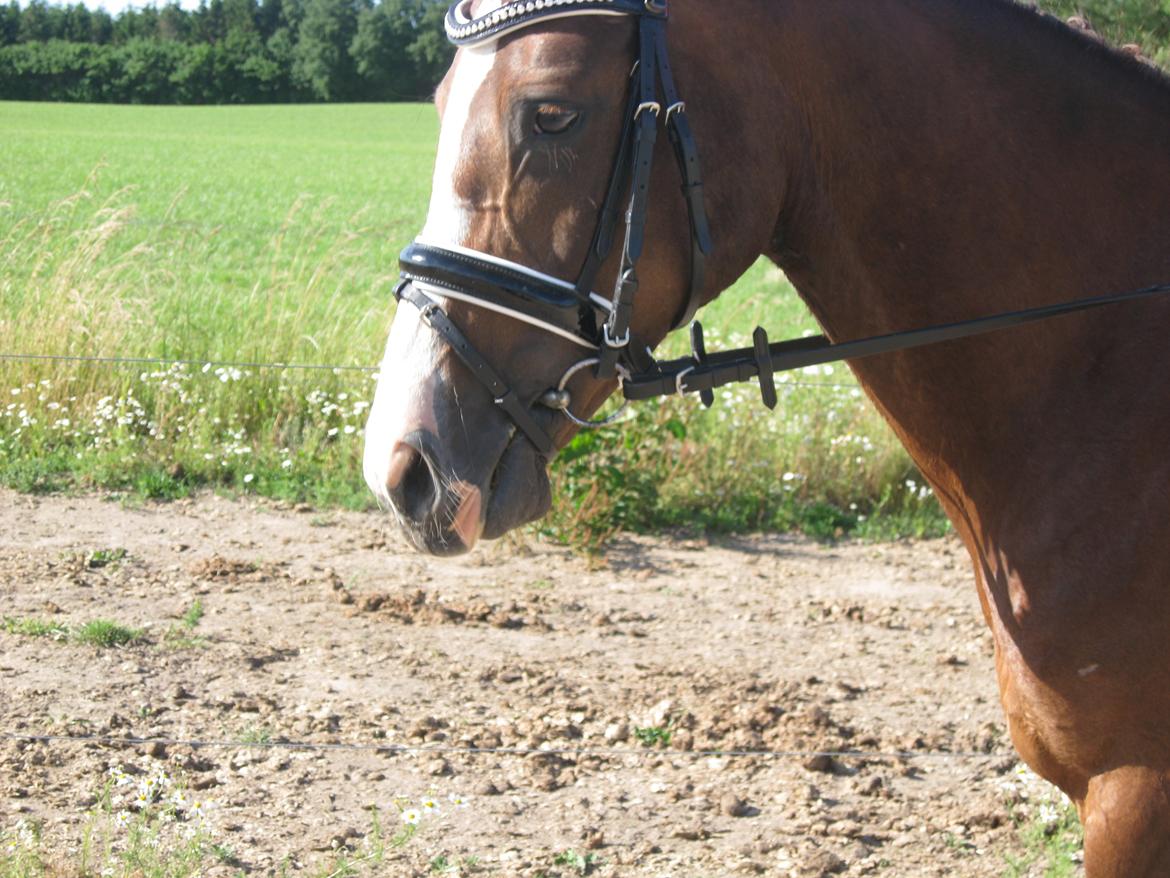 Forskellige billeder - Fine pige:) billede 15