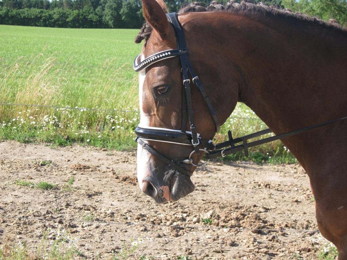 Forskellige billeder billede 17