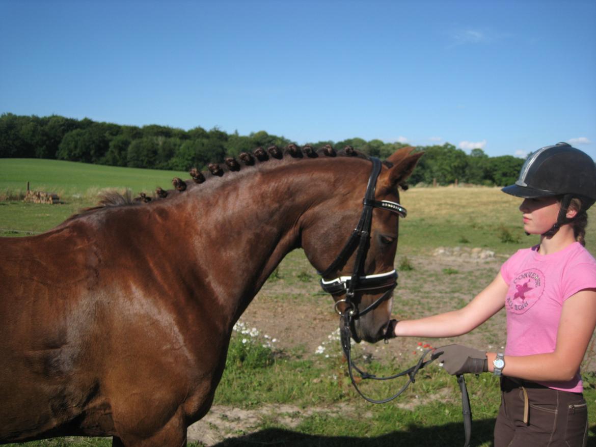 Forskellige billeder - Hun vil gøre ALT for at få en godbid! billede 21