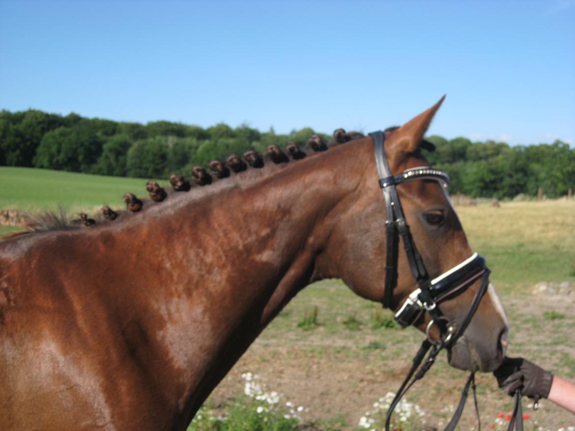 Forskellige billeder billede 1