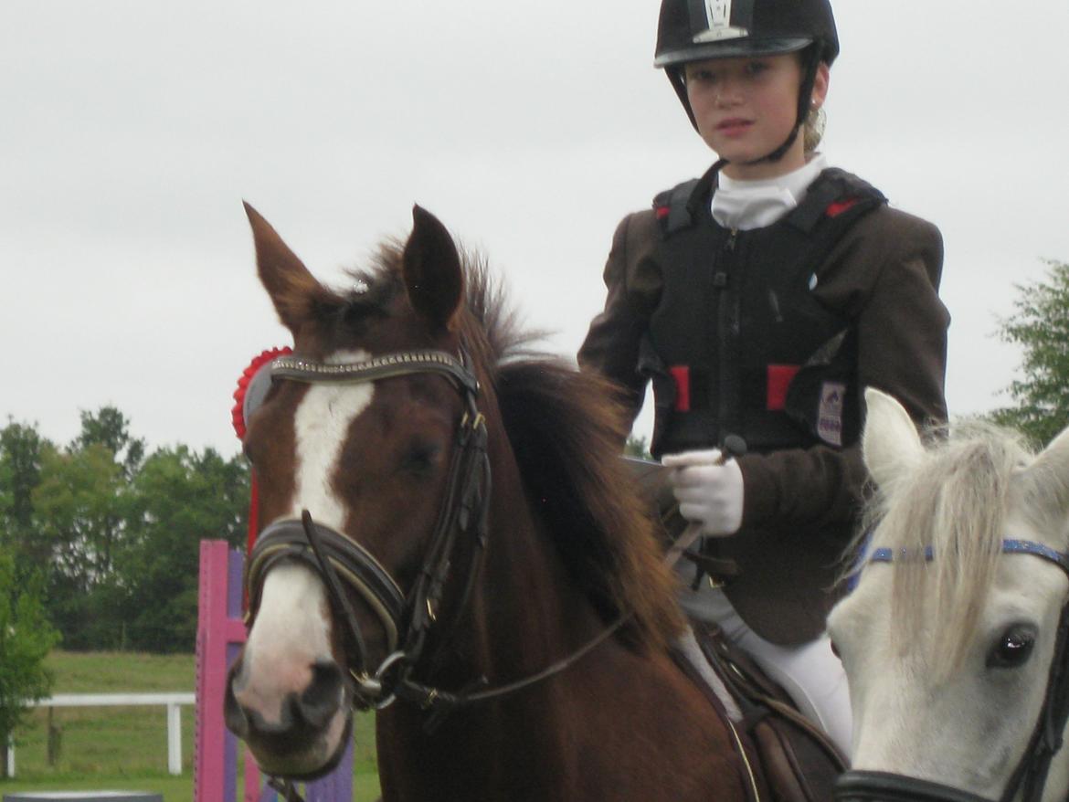 Forskellige billeder billede 6