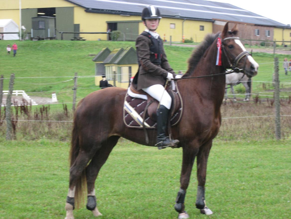 Forskellige billeder - Til Holbækmesterskaberne. Tak fordi du kiggede forbi:) billede 23