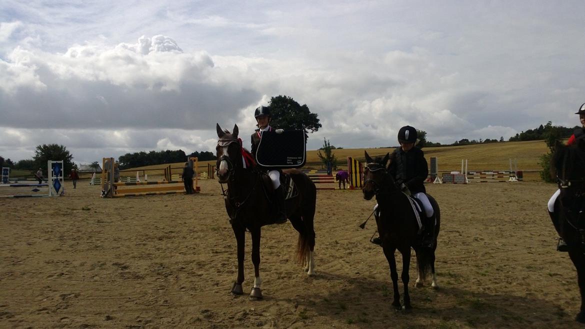 Forskellige billeder - Klubmestre! billede 12