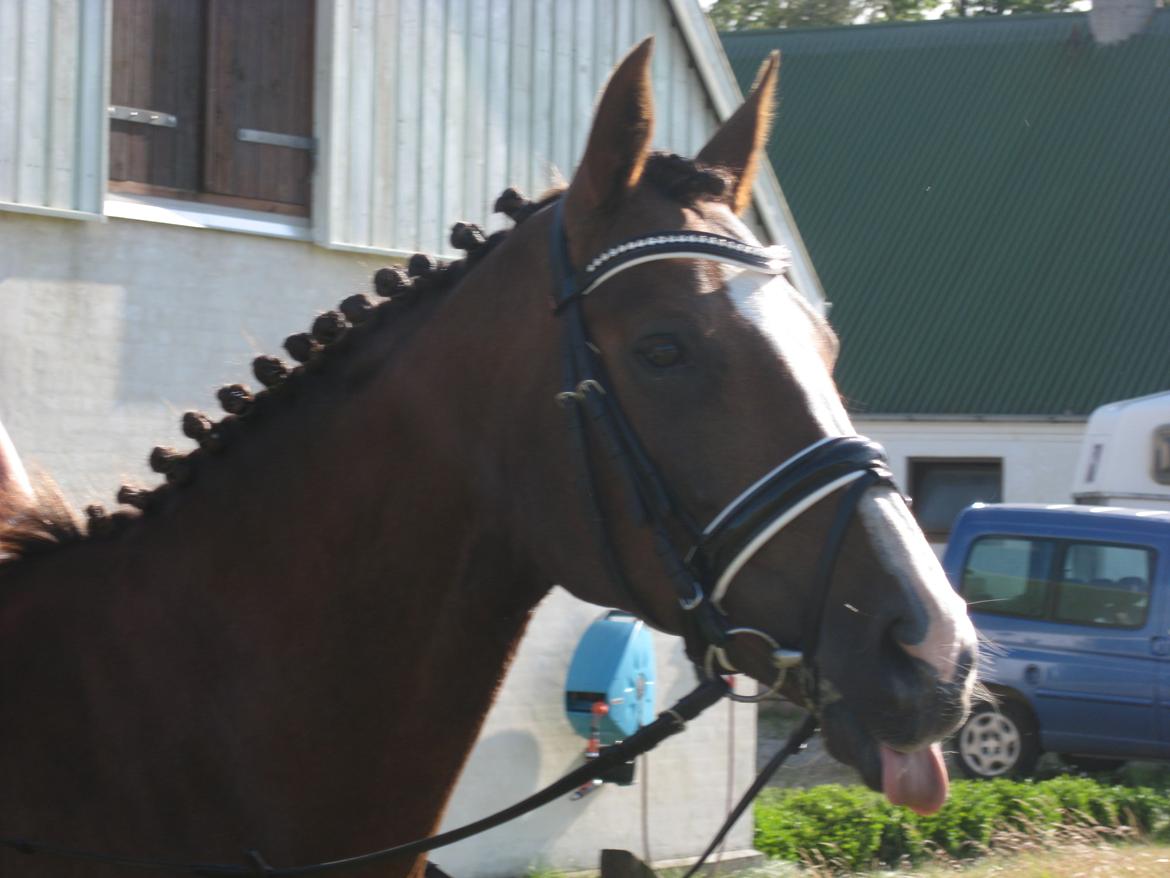 Forskellige billeder - Hvor er du sød! billede 22