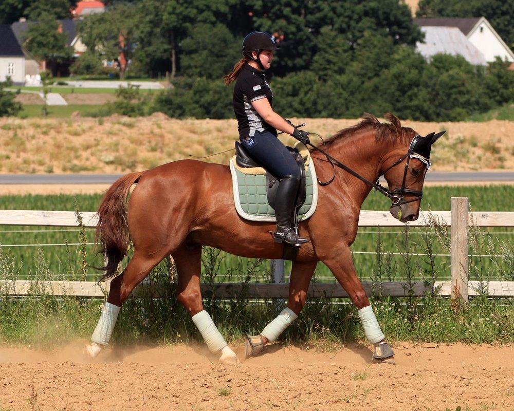 Nogen af mine sæt :) - Forårsgrønt RBH sæt med Bandager og Underlag.  billede 2