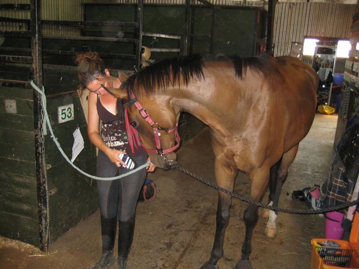 {{currentPhoto.altText}} billede {{currentPhoto.number}}