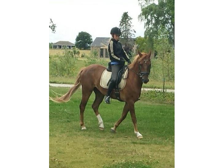 {{currentPhoto.altText}} billede {{currentPhoto.number}}