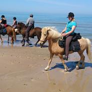 Islænderridnig ved Anni Andersen
