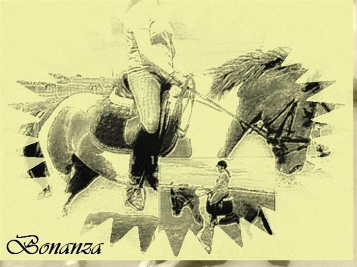 Mine redigerede og flotte billeder. billede 5