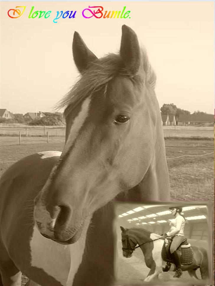 Mine redigerede og flotte billeder. billede 7