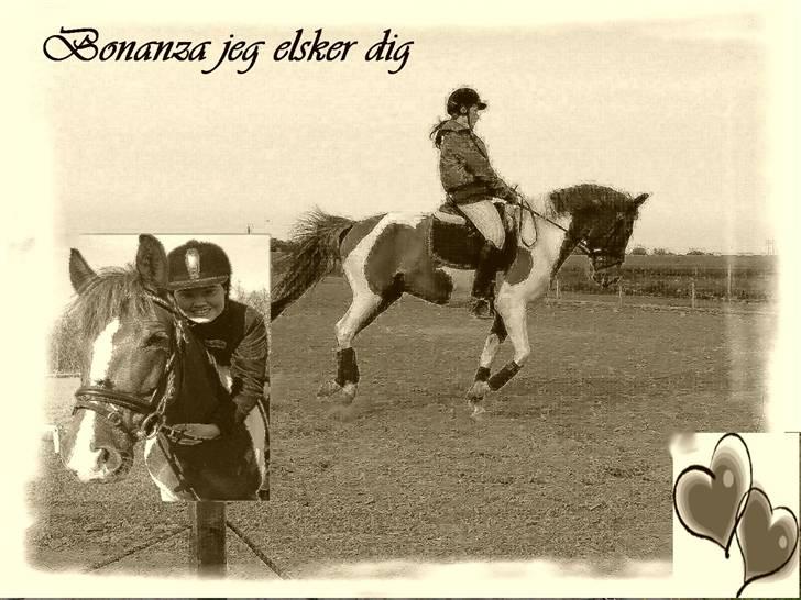 Mine redigerede og flotte billeder. billede 8